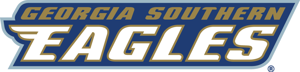 Georgia Southern Eagles 2004-Pres Wordmark Logo v2 DIY iron on transfer (heat transfer)
